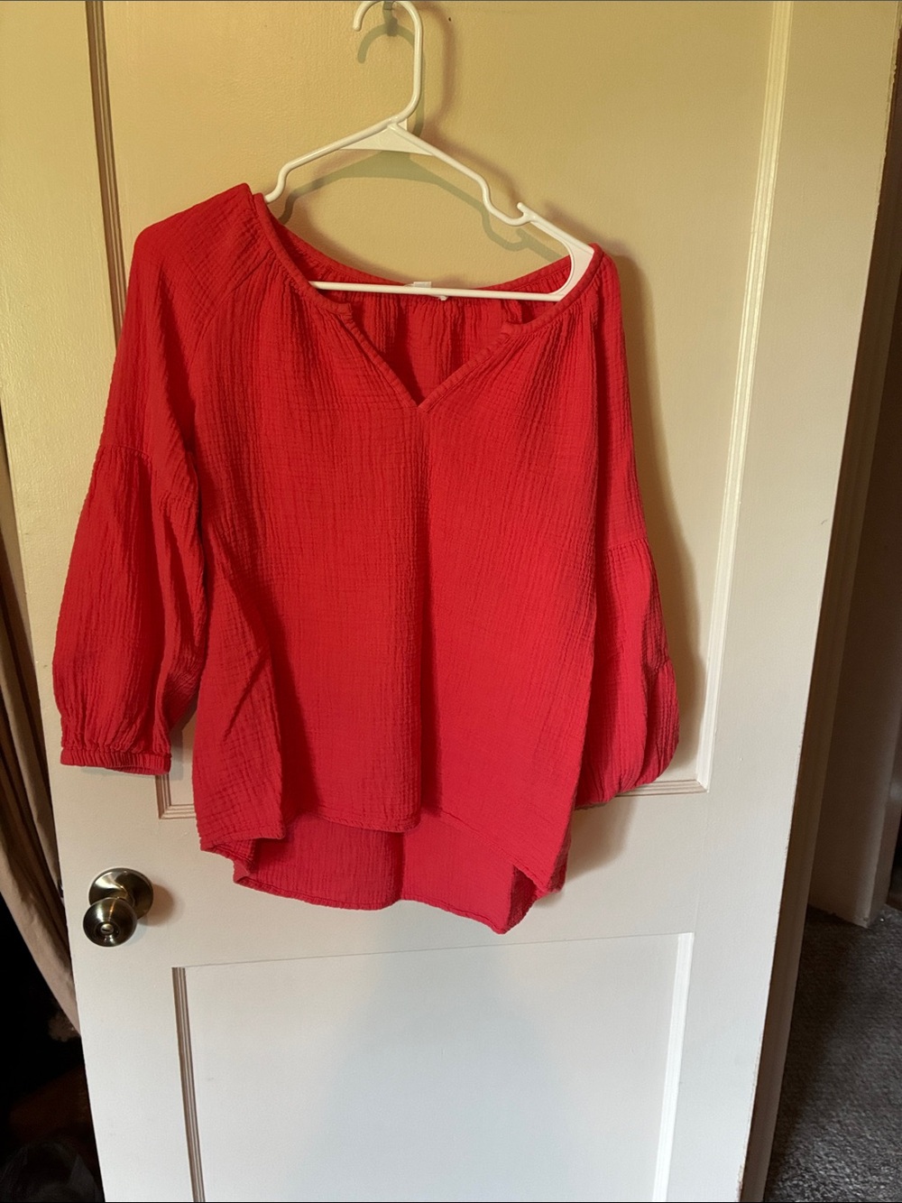 beachlunchlounge Coral V-Neck Balloon Sleeve Blouse